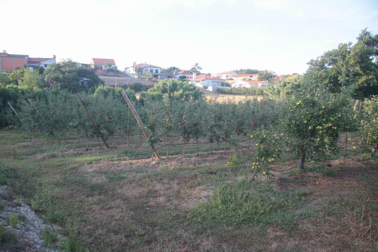 Vivenda Maria Da Nazaré Hébergement de vacances Picamilho